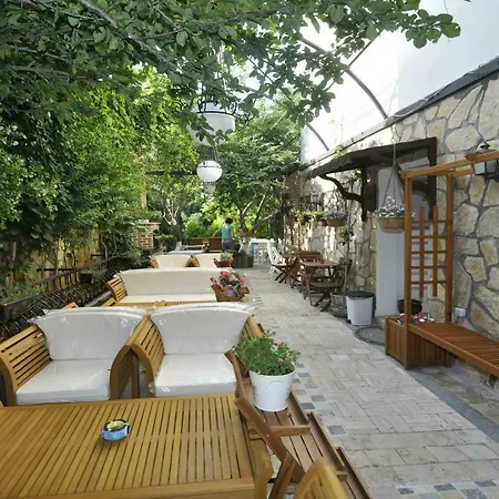 Caglar My Hause 터그트레이스