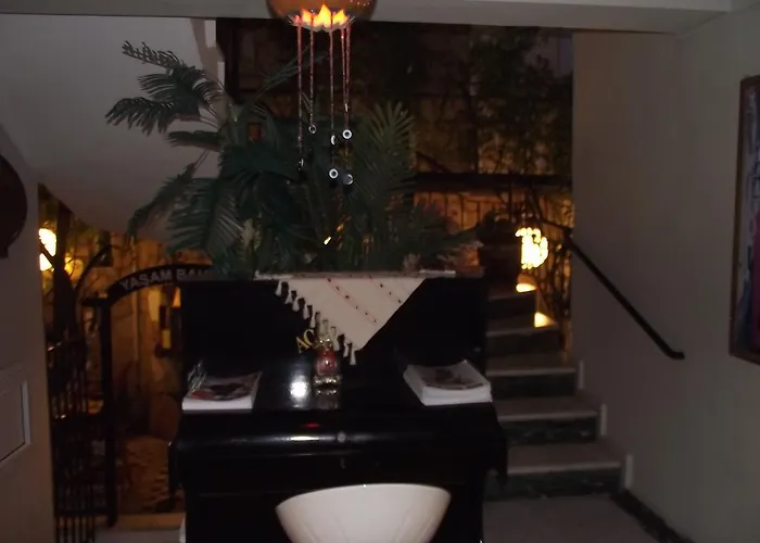 Caglar My Hause טורגוטריס